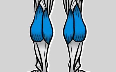 calves image