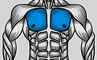 chest image