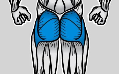 glutes image