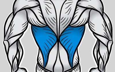lats image