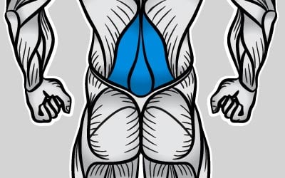 lower back image