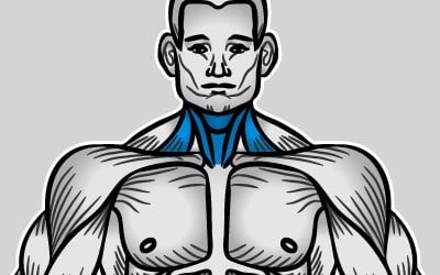 neck image