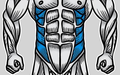 obliques image